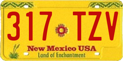 NM license plate 317TZV