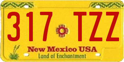 NM license plate 317TZZ