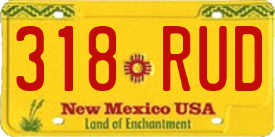 NM license plate 318RUD