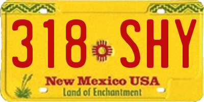 NM license plate 318SHY