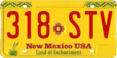 NM license plate 318STV