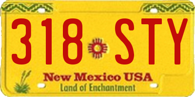 NM license plate 318STY