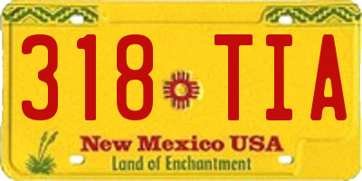 NM license plate 318TIA