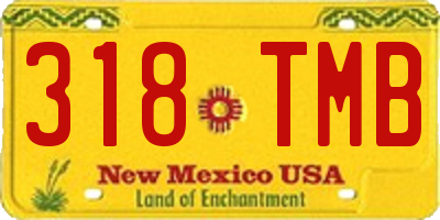 NM license plate 318TMB