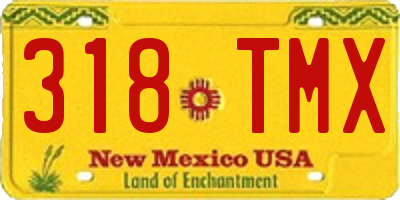 NM license plate 318TMX
