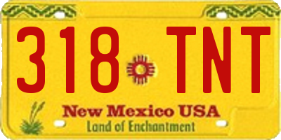NM license plate 318TNT