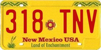 NM license plate 318TNV