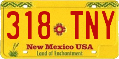 NM license plate 318TNY
