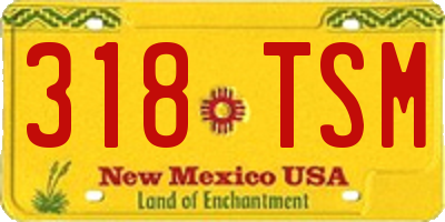 NM license plate 318TSM