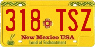 NM license plate 318TSZ
