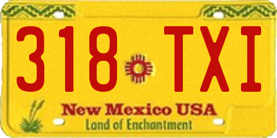 NM license plate 318TXI