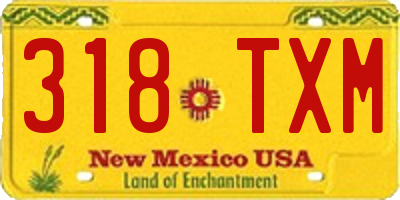NM license plate 318TXM