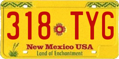 NM license plate 318TYG