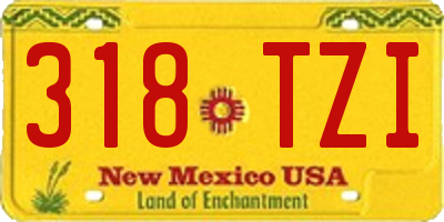 NM license plate 318TZI
