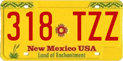 NM license plate 318TZZ