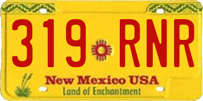 NM license plate 319RNR