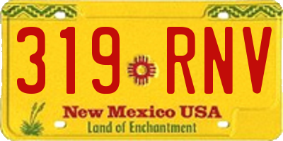 NM license plate 319RNV