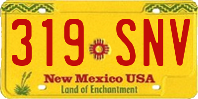 NM license plate 319SNV