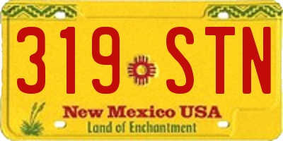 NM license plate 319STN