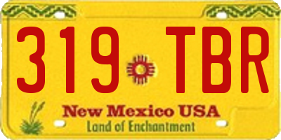 NM license plate 319TBR
