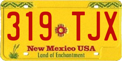 NM license plate 319TJX