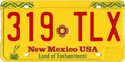NM license plate 319TLX