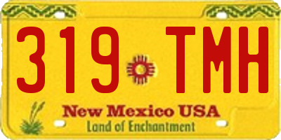 NM license plate 319TMH