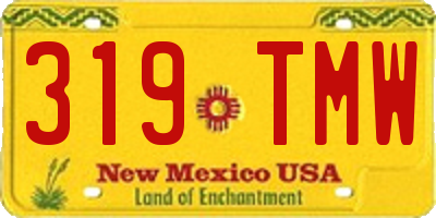 NM license plate 319TMW