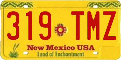 NM license plate 319TMZ