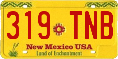 NM license plate 319TNB