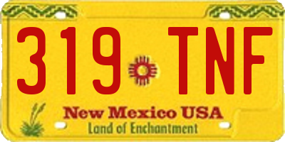 NM license plate 319TNF