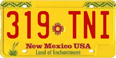 NM license plate 319TNI
