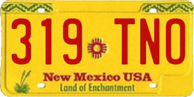 NM license plate 319TNO