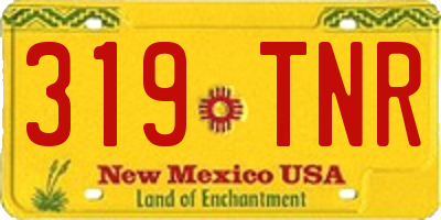 NM license plate 319TNR