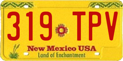 NM license plate 319TPV