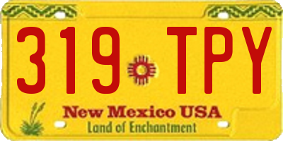 NM license plate 319TPY