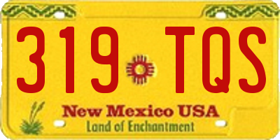 NM license plate 319TQS
