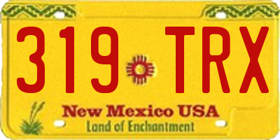 NM license plate 319TRX