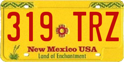 NM license plate 319TRZ
