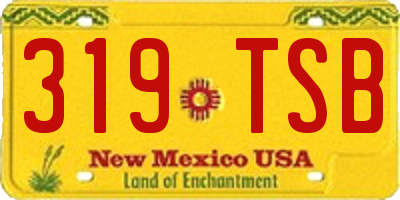 NM license plate 319TSB
