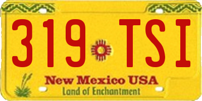 NM license plate 319TSI
