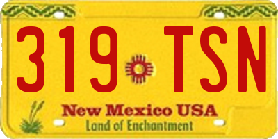 NM license plate 319TSN