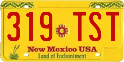 NM license plate 319TST