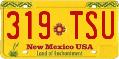 NM license plate 319TSU