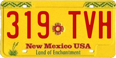 NM license plate 319TVH