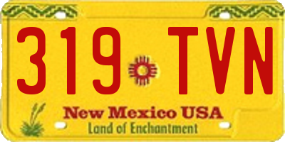 NM license plate 319TVN