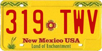 NM license plate 319TWV