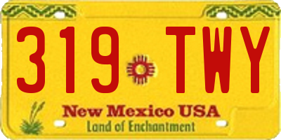 NM license plate 319TWY