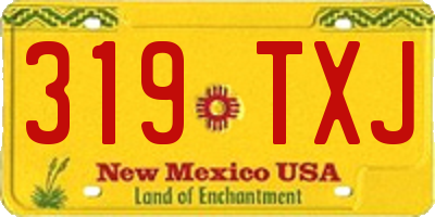 NM license plate 319TXJ