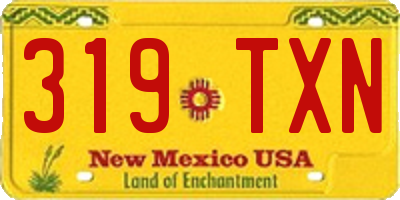 NM license plate 319TXN